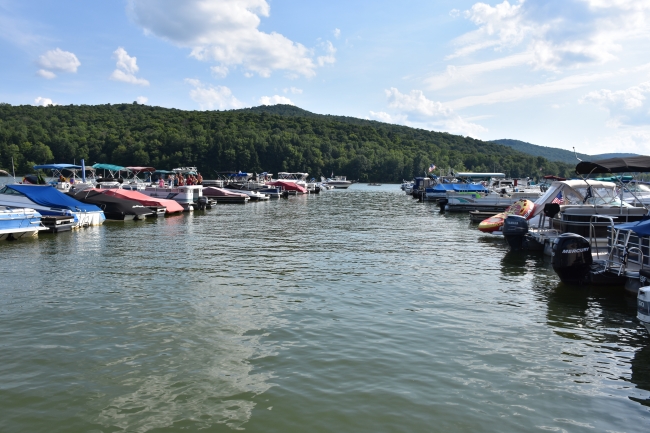 Boats at Onoville Marina