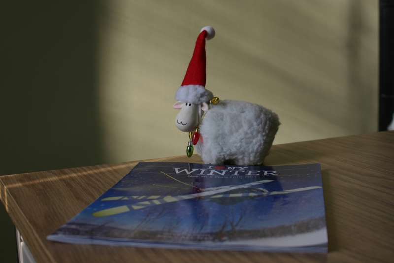 Christmas Sheep on I Love New York WINTER magazine