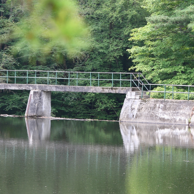 Picture for Contest Photo 1 for Hidden Gems of the Enchanted Mountains