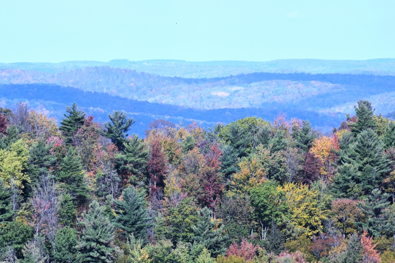 Overlook on Route 16, Olean