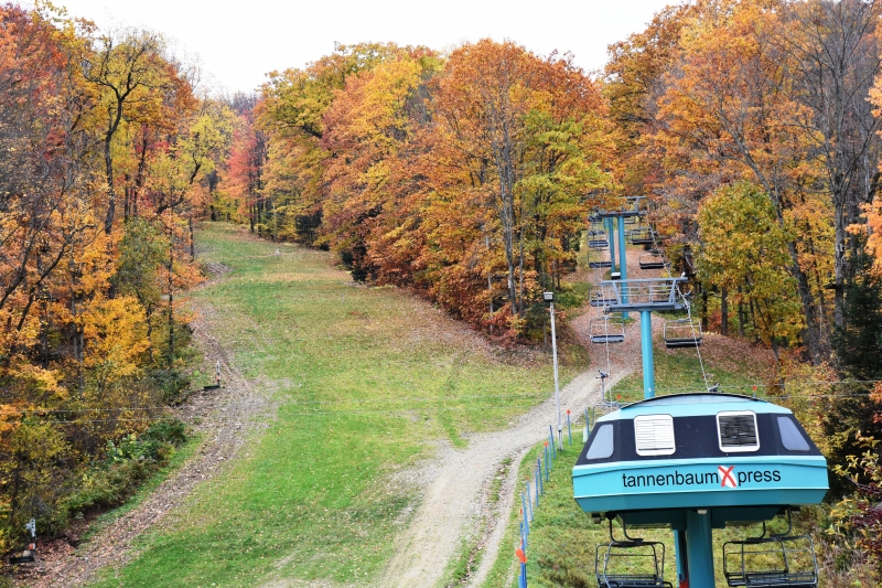 Tannenbaum Express Quad