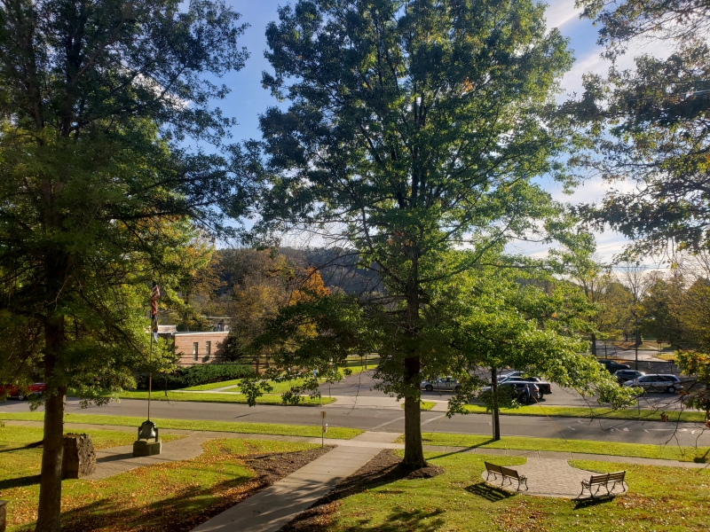 Fall Foliage Cattaraugus County week of Oct 16, 2018