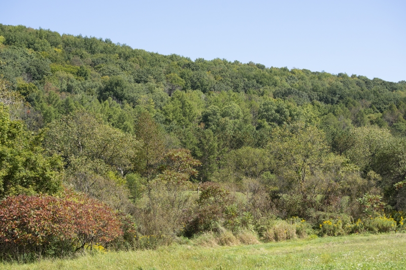 Photo along the Pat McGee Trail 9-17-19