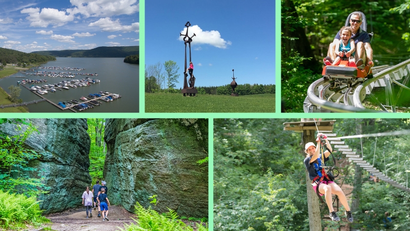 Picture of Spring Openings