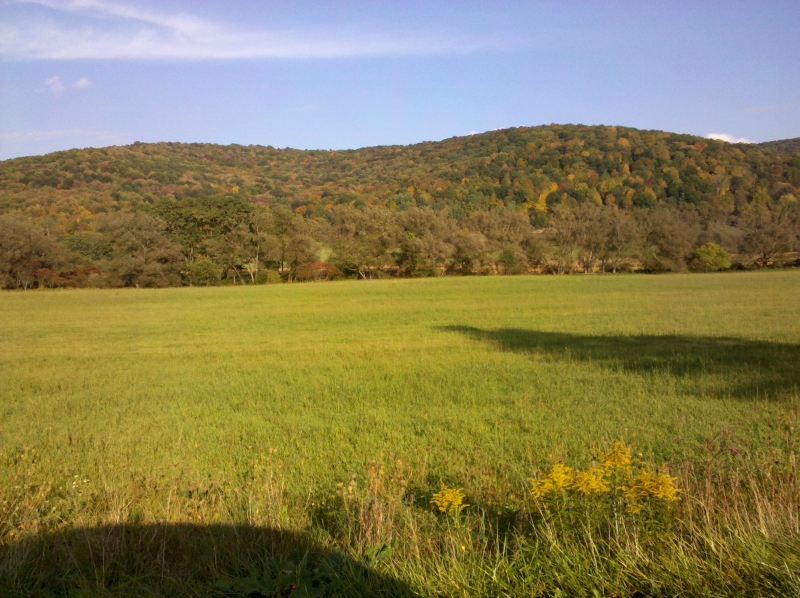 Picture of Fall Foilage Report 2010-09-24