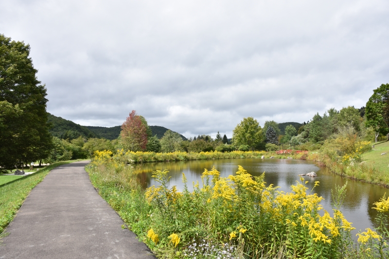 Nannen Arboretum in Autumn