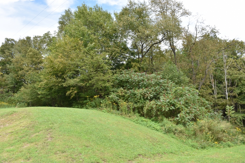 Fall Foliage Oct 2nd