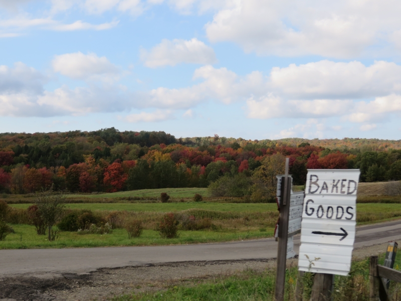 Fall Foliage in Cattaraugus County 