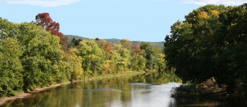 Fall in Cattaraugus County 