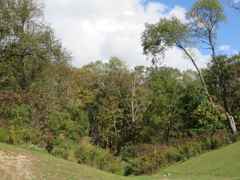 Cattaraugus County Fall Foliage 