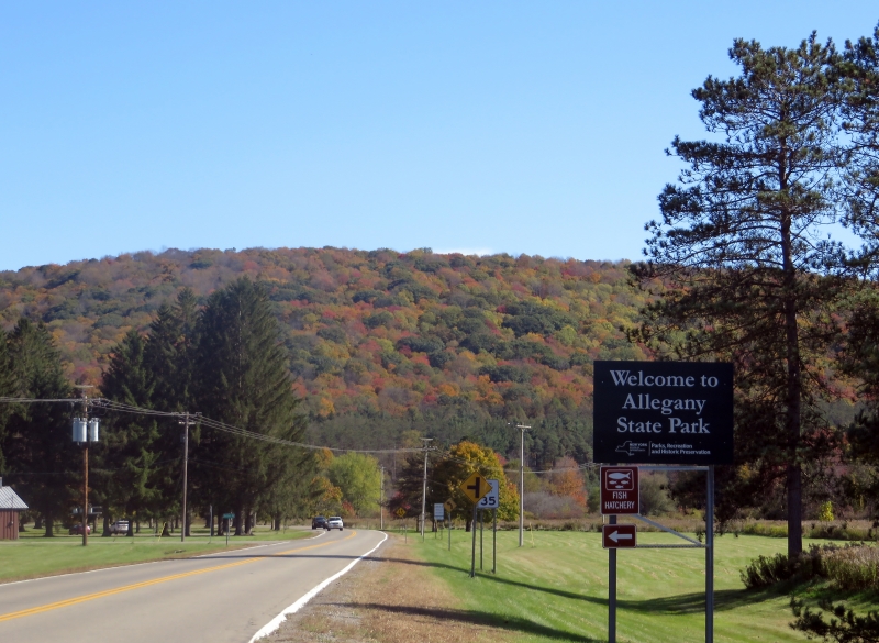 Cattaraugus County Fall Foliage 