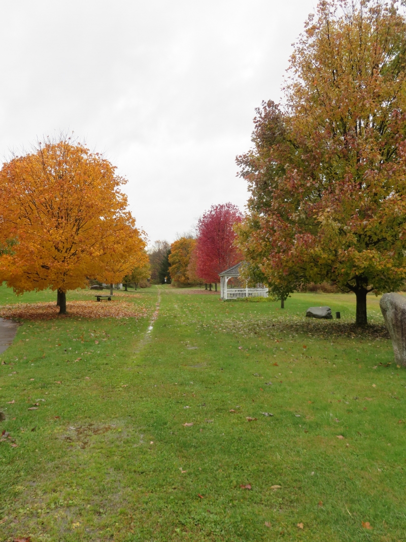 Cattaraugus County Fall Foliage 