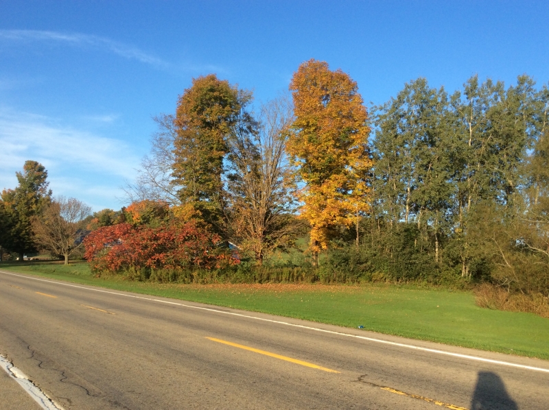 Fall Foliage Week of Oct 9, 2018