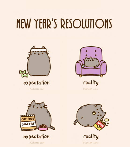 2017 New Year's Resolutions