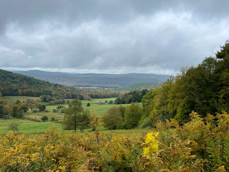 View on the way to Pfeiffer Nature Center's Lillibridge Property