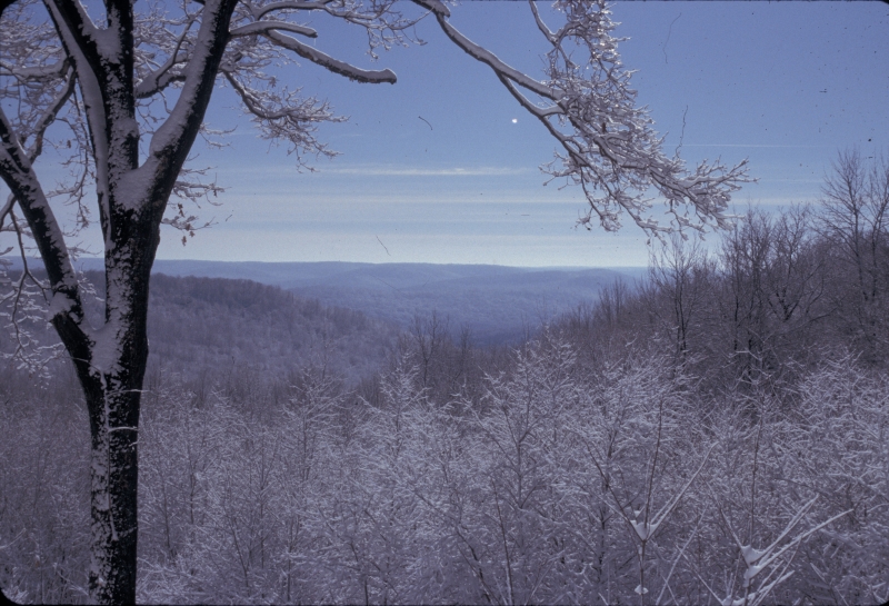 View from Allegany State Park