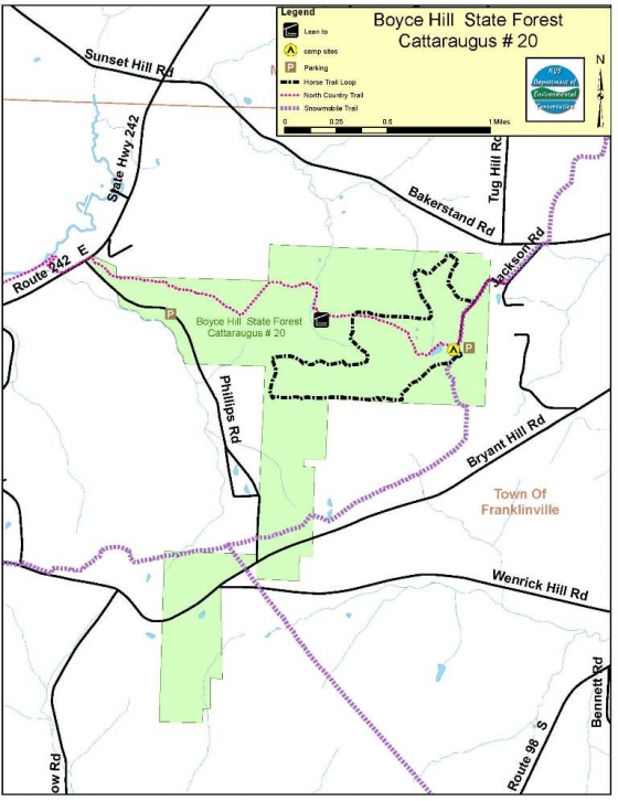 Boyce Hill State Forest