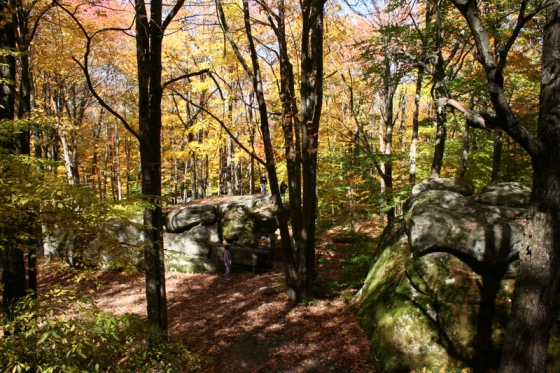 Thunder Rocks at Allegany State Park