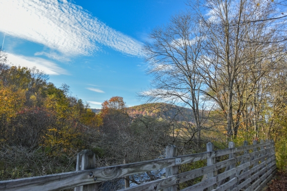 Autumn View from the Pat McGee Trail
