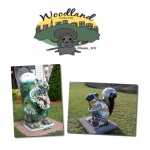 Image for Woodland in the City (Olean, New York)