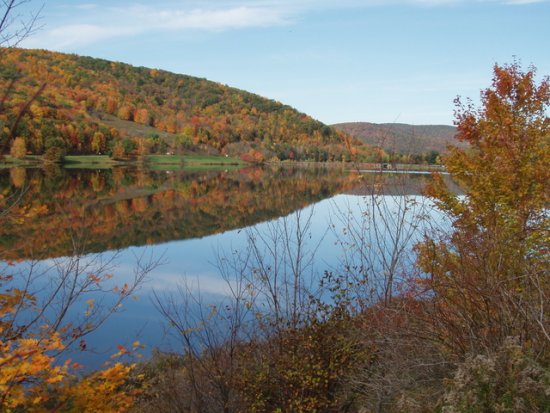 Fall in Allegany State Park