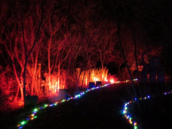 Night Lights at Griffis Sculpture Park
