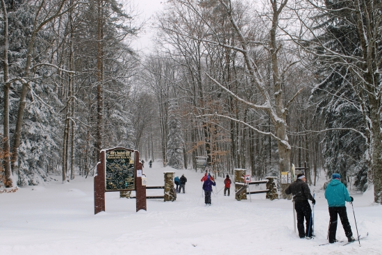 Cross Country Skiing
