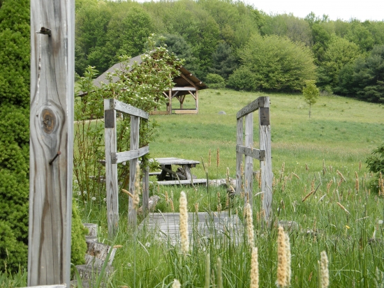 Pfeiffer Nature Center pavilion