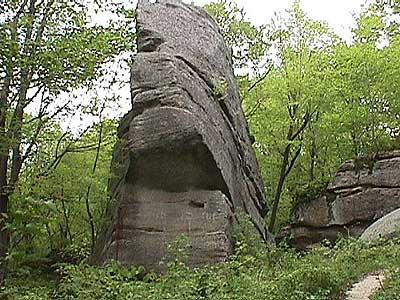 What do you see? A Face In The Rock?