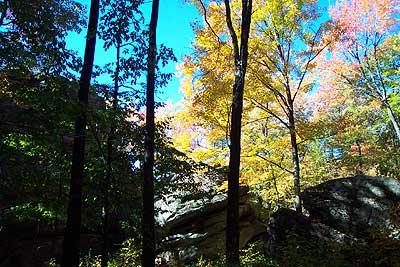 The blue sky set against the colorful leafs make for great views.