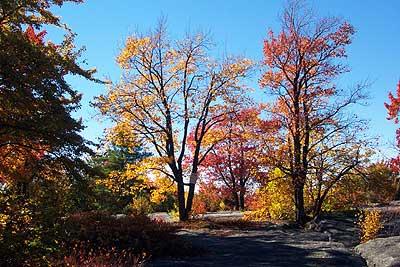 Beautiful colors mix in with natures creations to create unforgetable scenes