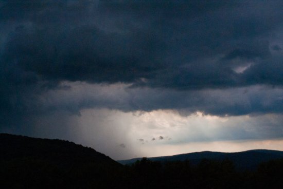 Submitted Summer Photos