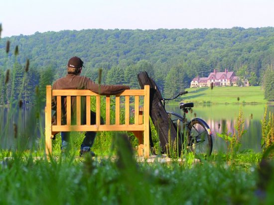 Summer at Allegany State Park