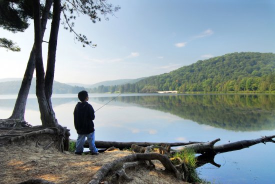 Summer at Allegany State Park