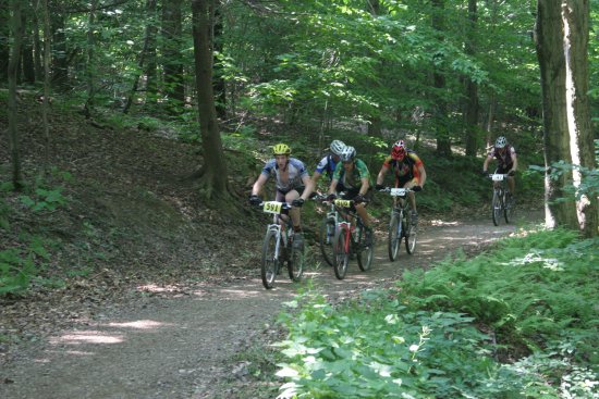 Summer at Allegany State Park