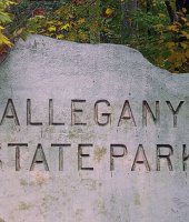 Fall in Allegany State Park