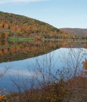 Fall in Allegany State Park