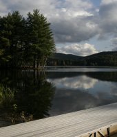 Fall in Allegany State Park