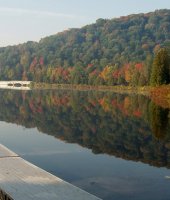 Fall in Allegany State Park