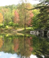 Fall in Allegany State Park