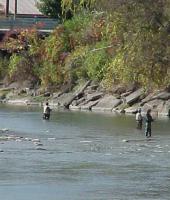 Fishermen Fishing in Gowanda