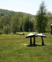 Griffis Sculpture Park