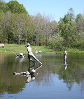 Griffis Sculpture Park