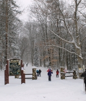 Cross Country Skiing