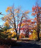 Beautiful colors mix in with natures creations to create unforgetable scenes