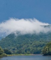 Submitted Summer Photos