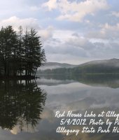 Summer at Allegany State Park