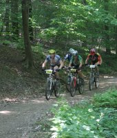 Summer at Allegany State Park