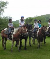 The Crosspatch Horse Ranch