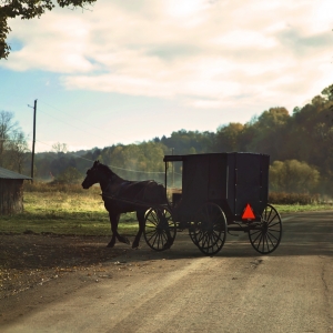 Horse and Buggy